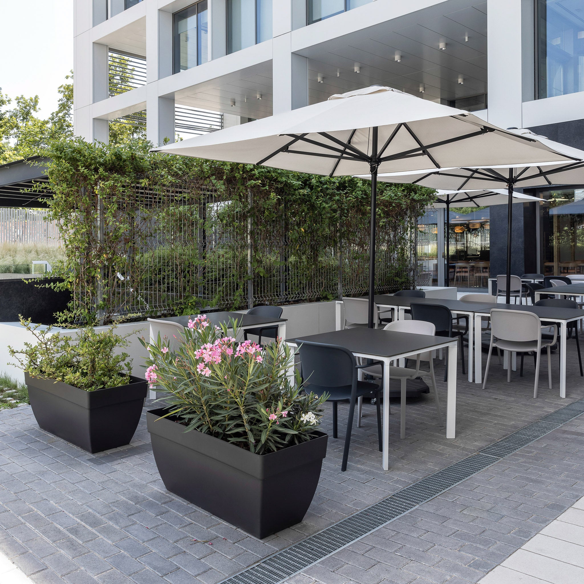 Sombrilla EZPELETA FORMENTERA